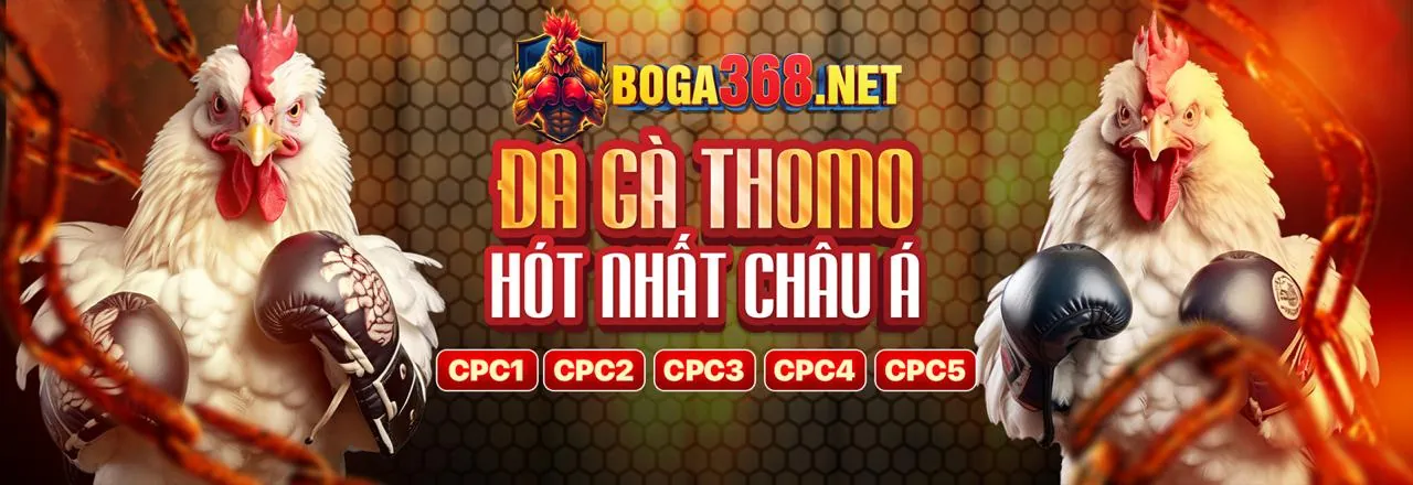 Hình ảnh minh họa vấn đề không nhận được khuyến mãi