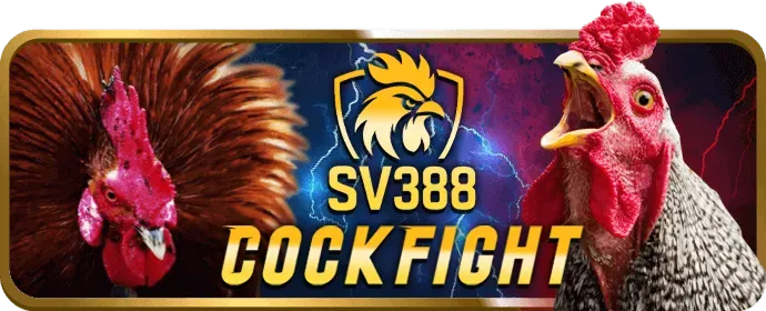 Hướng dẫn slot game bong8899